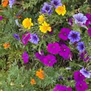 ヒメ日記 2026/08/26 08:08 投稿 大原 HERMINE-エルミネ-