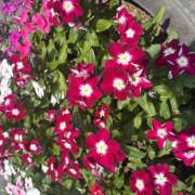 ヒメ日記 2026/08/29 10:39 投稿 大原 HERMINE-エルミネ-