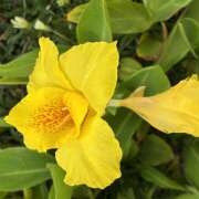 ヒメ日記 2026/08/31 08:09 投稿 大原 HERMINE-エルミネ-