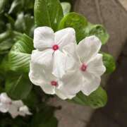 ヒメ日記 2026/09/02 08:17 投稿 大原 HERMINE-エルミネ-