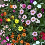 ヒメ日記 2026/09/12 08:29 投稿 大原 HERMINE-エルミネ-