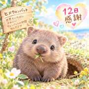 ヒメ日記 2026/09/13 00:15 投稿 大原 HERMINE-エルミネ-
