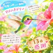 ヒメ日記 2026/09/14 00:24 投稿 大原 HERMINE-エルミネ-