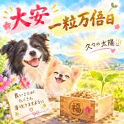 ヒメ日記 2026/09/14 09:58 投稿 大原 HERMINE-エルミネ-