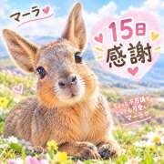 ヒメ日記 2026/09/15 22:34 投稿 大原 HERMINE-エルミネ-