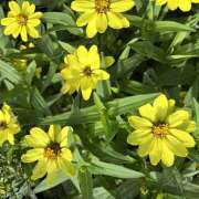 ヒメ日記 2026/09/19 08:39 投稿 大原 HERMINE-エルミネ-