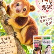 ヒメ日記 2026/09/19 23:07 投稿 大原 HERMINE-エルミネ-