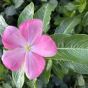 ヒメ日記 2026/10/16 08:35 投稿 大原 HERMINE-エルミネ-