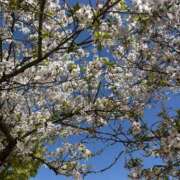 ヒメ日記 2026/04/10 15:32 投稿 こずえ 完熟とまと(十三)