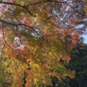 こずえ 初秋です🍂 完熟とまと(十三)