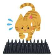 ヒメ日記 2026/02/22 22:02 投稿 沙莉那【さりな】 輝女