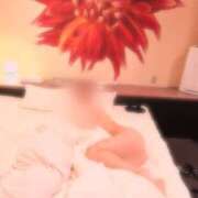 ヒメ日記 2026/03/19 01:25 投稿 かれん 日本妻