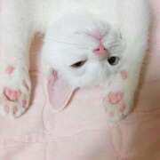 ヒメ日記 2026/03/13 22:00 投稿 りち 渋谷とある風俗店♡やりすぎコレクション