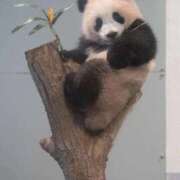 ヒメ日記 2026/03/15 00:20 投稿 りち 渋谷とある風俗店♡やりすぎコレクション