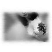 まこと ありがとうございました。 錦糸町人妻セレブリティ（ユメオト）