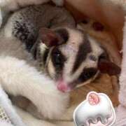 ヒメ日記 2026/03/02 22:41 投稿 かな トマトなび