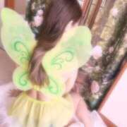 ヒメ日記 2026/04/14 10:04 投稿 かな トマトなび