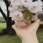 ヒメ日記 2026/04/10 23:20 投稿 安藤 こより セカンドパートナー池袋