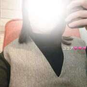 ヒメ日記 2026/01/30 00:57 投稿 すみれ 秋葉原鑑賞ガール