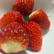 ヒメ日記 2026/01/21 23:09 投稿 らん サマンサ(和歌山)