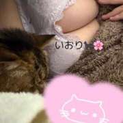 ヒメ日記 2026/01/27 22:46 投稿 いおり 丸妻 町田店