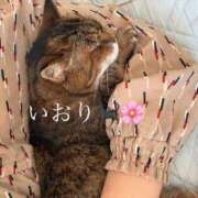 ヒメ日記 2026/02/18 06:10 投稿 いおり 丸妻 町田店