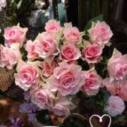 ヒメ日記 2026/02/23 08:48 投稿 さき 大阪熟女本舗