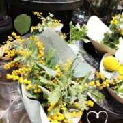 ヒメ日記 2026/03/20 09:22 投稿 さき 大阪熟女本舗