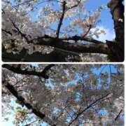 ヒメ日記 2026/04/02 09:38 投稿 さき 大阪熟女本舗