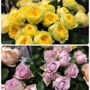 ヒメ日記 2026/04/11 07:30 投稿 さき 大阪熟女本舗