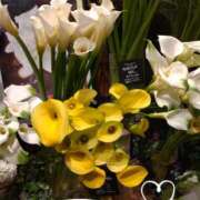 ヒメ日記 2026/04/23 08:06 投稿 さき 大阪熟女本舗