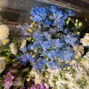 ヒメ日記 2026/03/26 11:08 投稿 ゆうこ 大阪熟女本舗