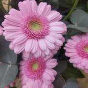 ヒメ日記 2026/01/25 16:10 投稿 ななみ 大阪熟女本舗