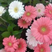 ヒメ日記 2026/01/27 14:16 投稿 ななみ 大阪熟女本舗