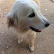 ヒメ日記 2026/02/09 14:24 投稿 ななみ 大阪熟女本舗