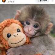 ななみ おさるのパンチくん 大阪熟女本舗