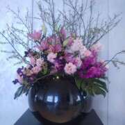 ヒメ日記 2026/03/19 19:44 投稿 ななみ 大阪熟女本舗