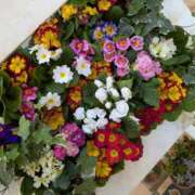 ヒメ日記 2026/04/26 11:28 投稿 ななみ 大阪熟女本舗