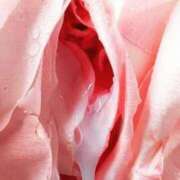 ヒメ日記 2026/03/13 20:27 投稿 やすこ 完熟ばなな神戸・三宮店