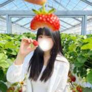 ヒメ日記 2026/03/31 10:46 投稿 おと E+アイドルスクール