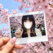 ヒメ日記 2026/04/04 08:06 投稿 おと E+アイドルスクール