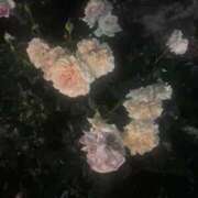 百花(もか) 🌸K様の元へ…🌸 グランドオペラ横浜