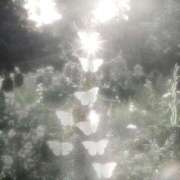 ヒメ日記 2026/03/23 16:03 投稿 百花(もか) グランドオペラ横浜