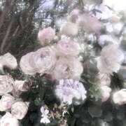 百花(もか) K様へのお礼🌸 グランドオペラ横浜