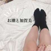 ヒメ日記 2026/02/06 02:49 投稿 加賀美 かれん 一夜妻