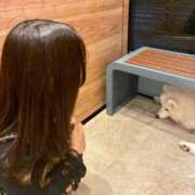 ヒメ日記 2026/01/21 00:16 投稿 のばら 素人美少女専門　新横浜アンジェリーク（アンジェリークグループ）