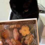 ヒメ日記 2026/01/26 15:23 投稿 奇跡のホエールウォッチング GOOD-グッド-