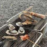 ヒメ日記 2026/02/19 11:35 投稿 奇跡のホエールウォッチング GOOD-グッド-