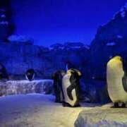 ヒメ日記 2026/02/23 21:42 投稿 奇跡のホエールウォッチング GOOD-グッド-