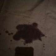 ヒメ日記 2026/03/10 17:09 投稿 奇跡のホエールウォッチング GOOD-グッド-